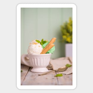 Vanilla and mint ice cream in cup Magnet